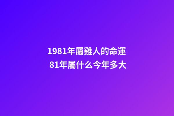 1981年屬雞人的命運 81年屬什么今年多大-第1張-觀點-玄機派
